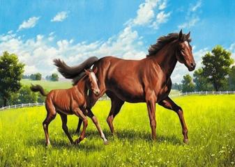 Репродукция "Лошадь и жеребенок"