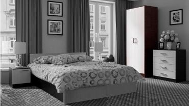 Шкаф 2-х створчатый накладной "Эдем 5" Шкаф 2-х створчатый накладной "Эдем 5"